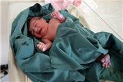 دومین نوزاد عجول در داخل آمبولانس به دنیا آمد