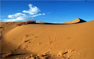 تا 15 سال دیگر، استان گلستان بیابان می‌شود، مگر اینکه اقدام جدی رخ دهد