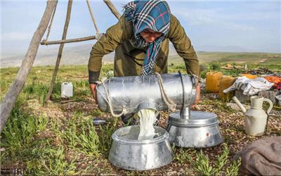 جولان تب مالت در دو روستای شهرستان زاوه