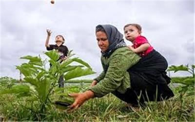 بیمه رایگان بیش از 2 هزار مادر روستایی شهرستان تربت‌حیدریه